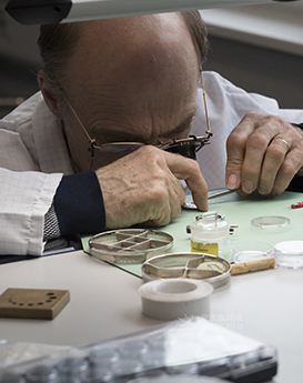 杰兰·埃文斯-深圳宇舶维修中心制表师